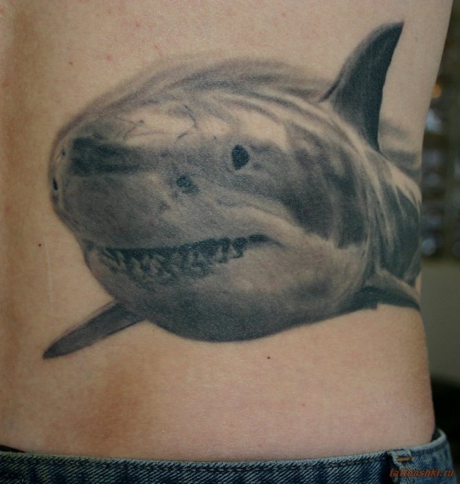Tattoo of a shark on a bribe taker or a smuggler's body