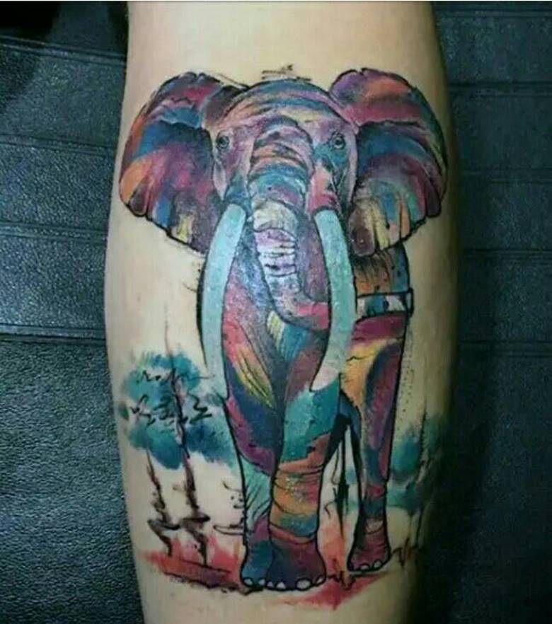 Water color elephant