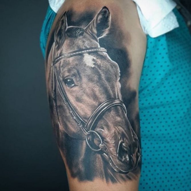 what does the horse tattoo mean