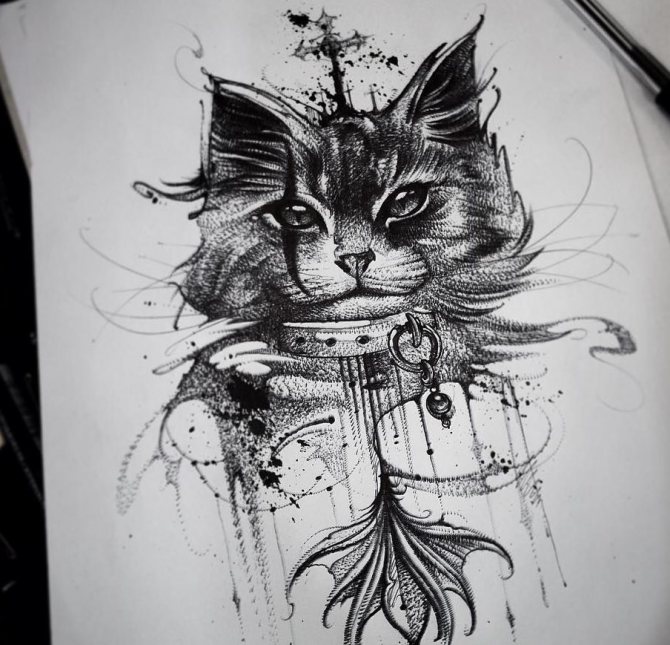 Sketch of a black and white cat