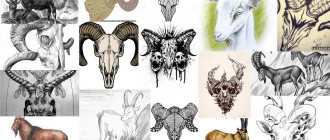 tattoo sketches goat