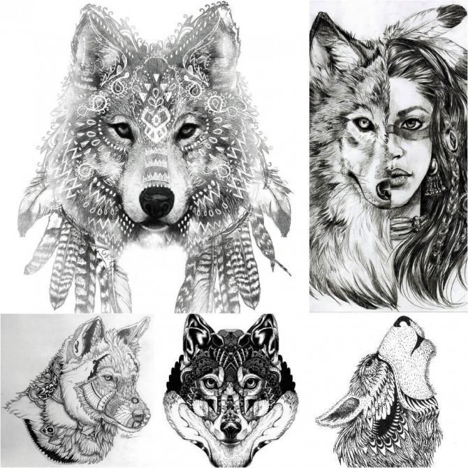 Sketches of tattoos in the form of a wolf, she-wolf
