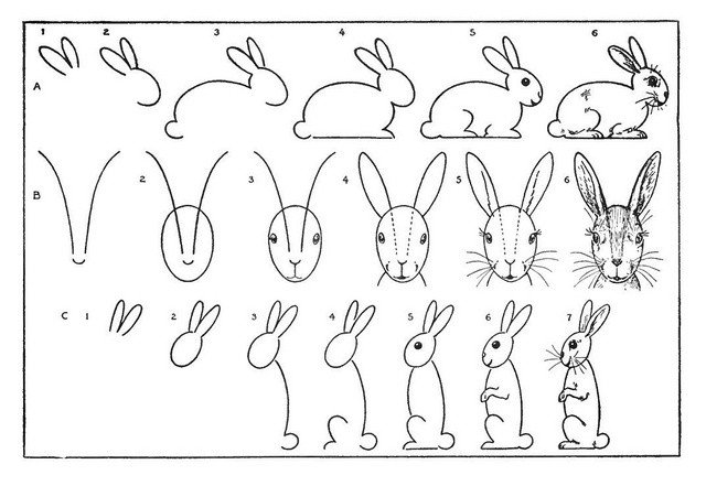 sketches of a hare