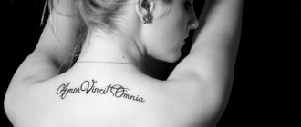 Latin love phrases for tattoos
