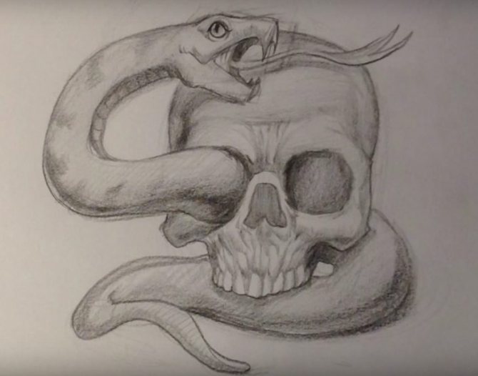 How to draw skull