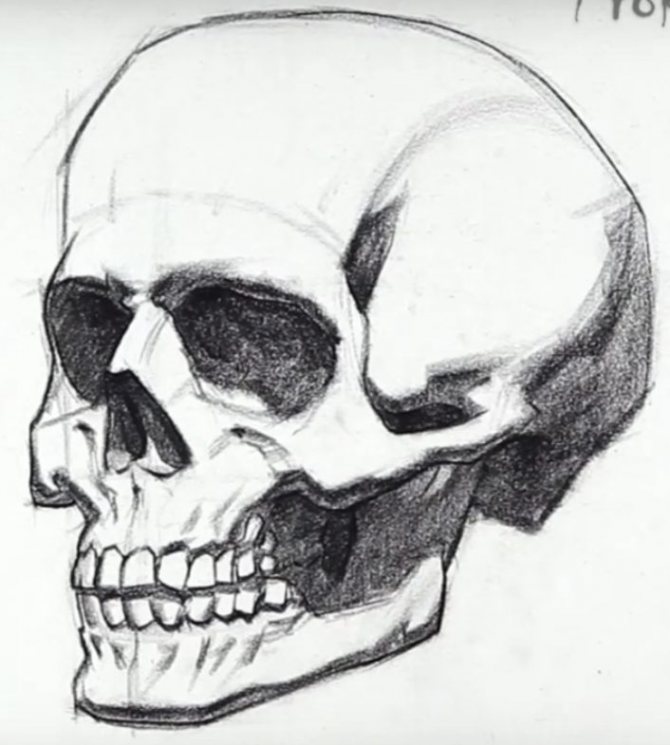 How to draw the skull