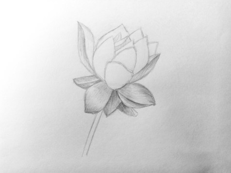 How to draw a flower with a pencil? Step by step lesson. Step 10. Pencil Portraits - Fenlin.ru