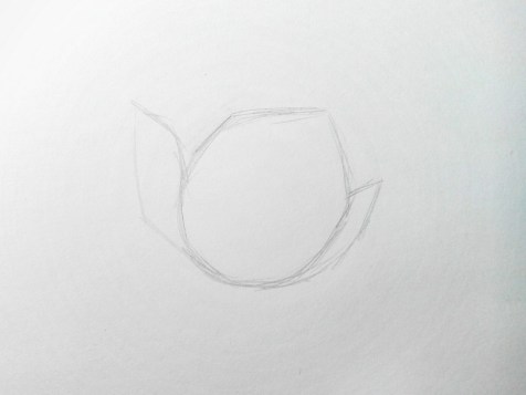 How to draw a flower in pencil? Step by step lesson. Step 2 Pencil portraits - Fenlin.ru
