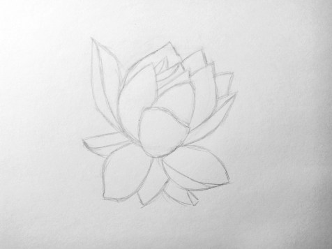 How to draw a flower in pencil? Step by step lesson. Step 6. Pencil Portraits - Fenlin.ru
