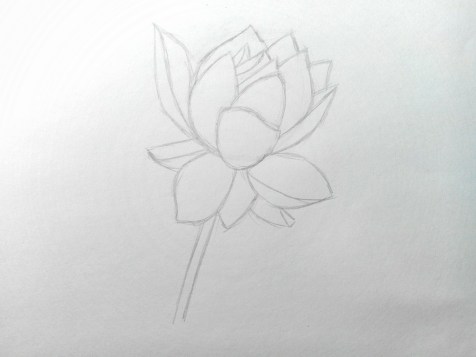 How to draw a flower in pencil? Step by step lesson. Step 7. Pencil Portraits - Fenlin.ru