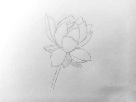 How to draw a flower with a pencil? Step by step lesson. Step 8 Pencil Portraits - Fenlin.ru