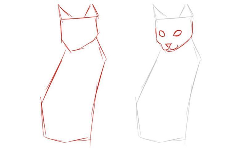 How to draw a sitting cat in full size