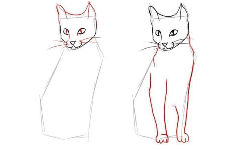 How to draw a full-size sitting cat