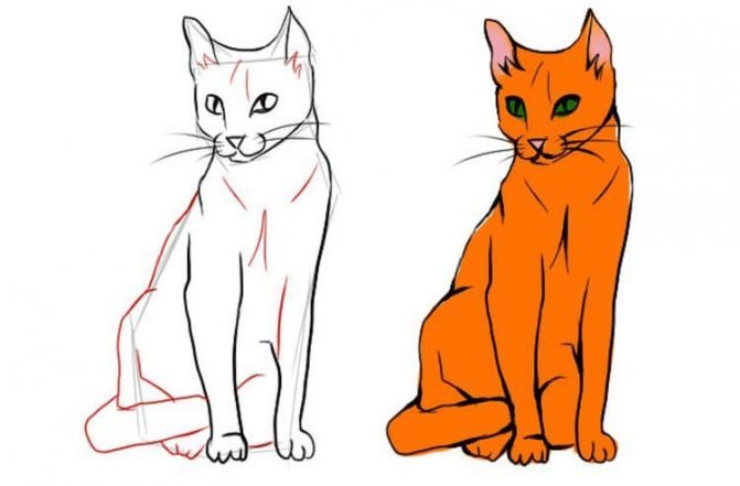 How to draw a sitting cat full size