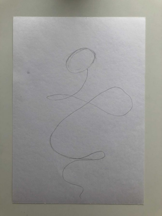 How to draw a snake in pencil step by step - cobra 1 - photo