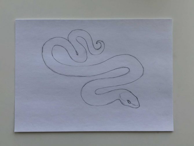 How to draw a snake in pencil step by step - simple snake stage 2 - photo
