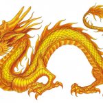 Chinese dragons - symbols of China