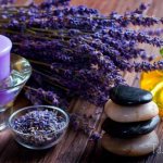 lavender flower meaning