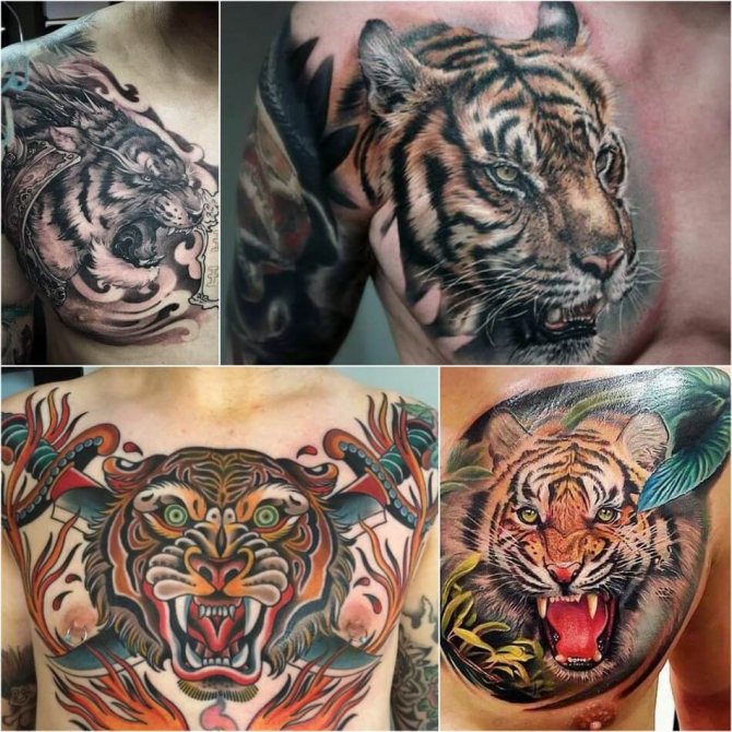 Male Chest Tattoo - Male Chest Tattoo for Male - Male Chest Tattoo Leo - Tattoo Tiger on Chest
