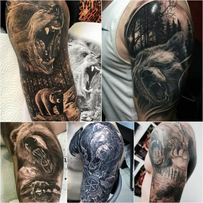 Male Shoulder Tattoo - Bear Shoulder Tattoo for Male