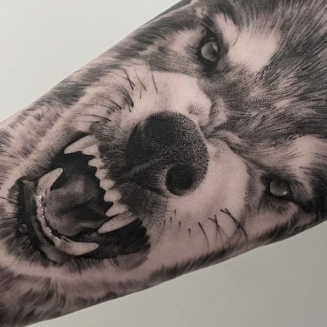 wolf grin tattoo