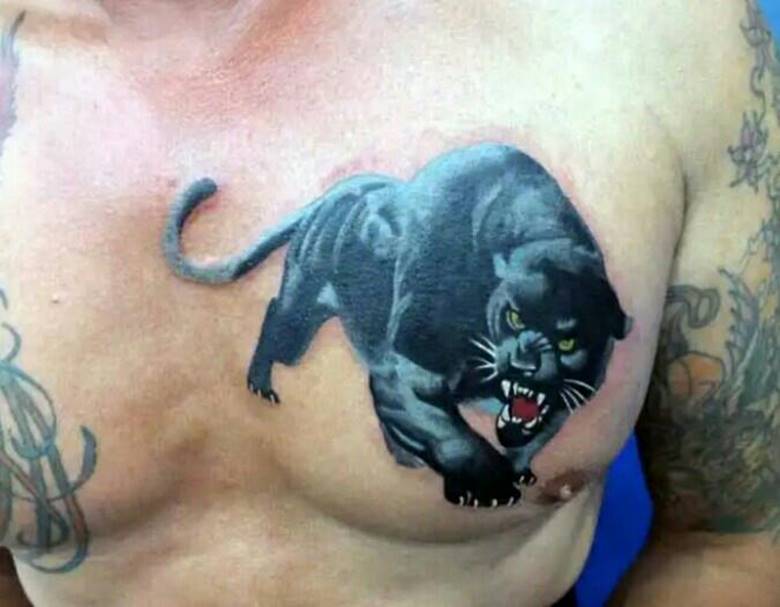 Panther on chest