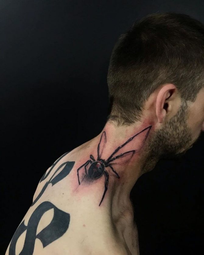 The spider on the neck