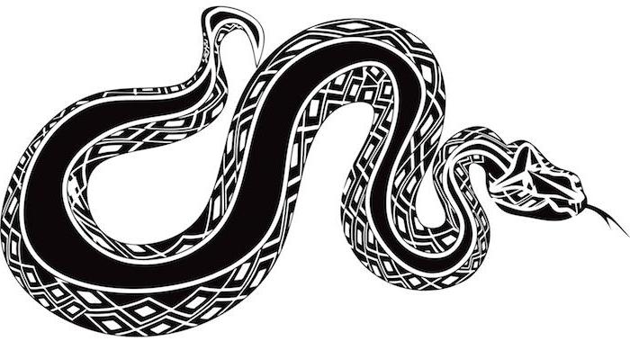 Why snake symbol