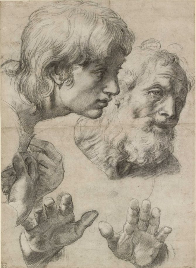 Raphael Santi. Sketch to a Painting 