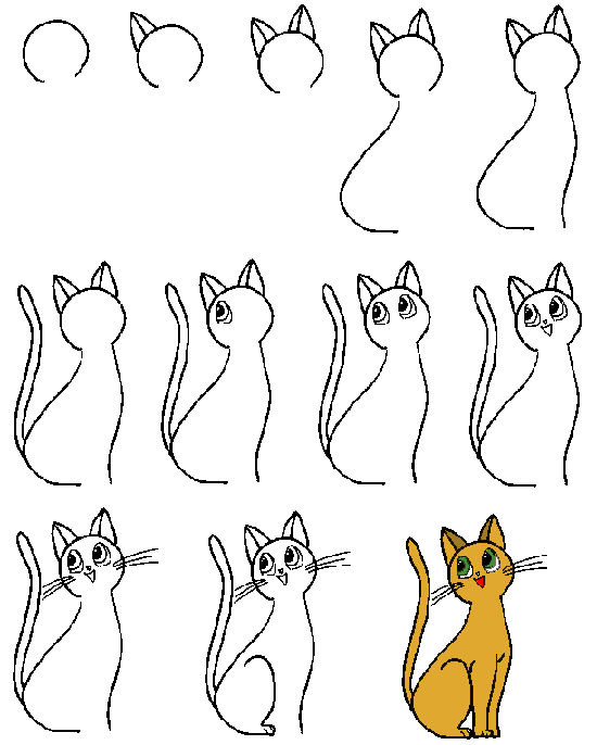 Drawing a cartoon cat