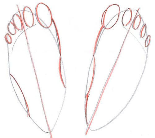 Draw Two Feet - Top View - Step 4