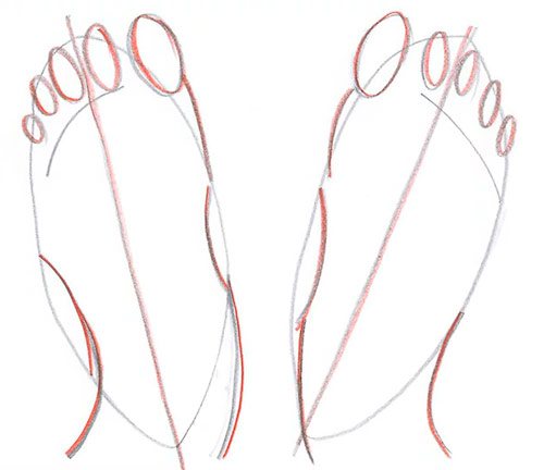 Draw Two Feet - Top View - Step 5