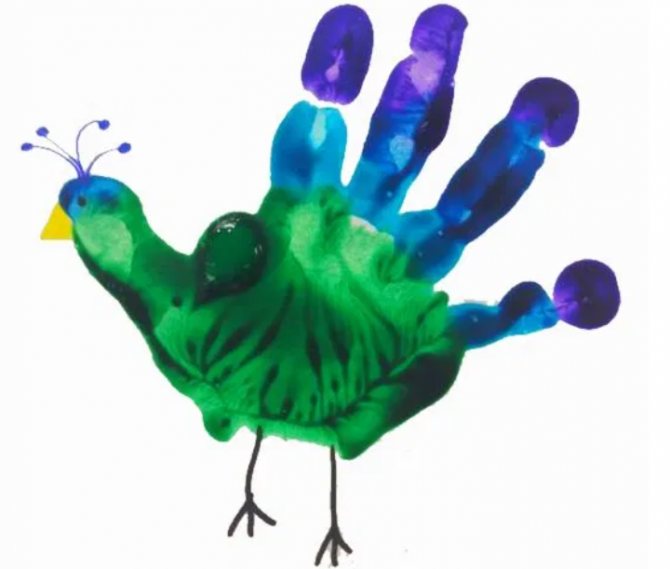 Hand draw a peacock