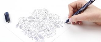 Pen drawings for beginners easy, beautiful, funny