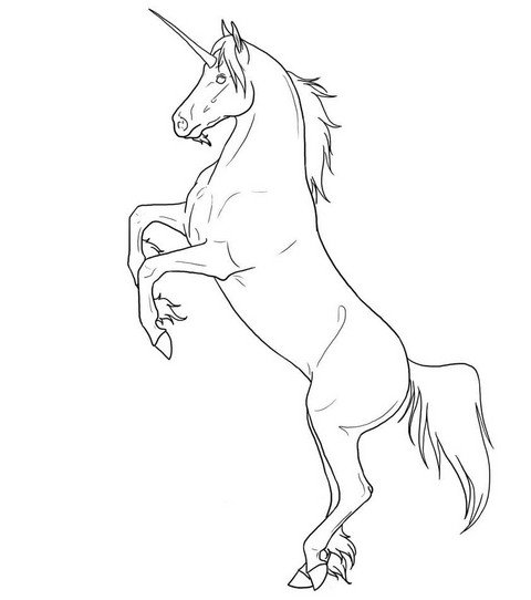 drawing of a unicorn