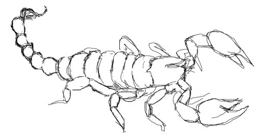 Drawing Scorpion