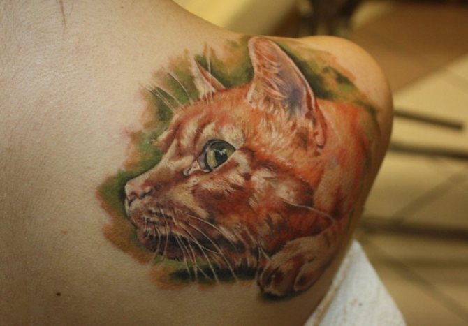 Red cat tattoo