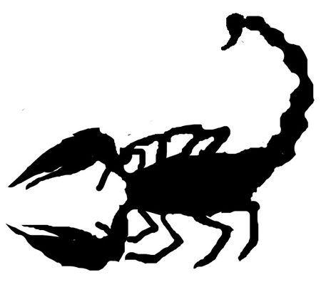 Silhouette of a Scorpion