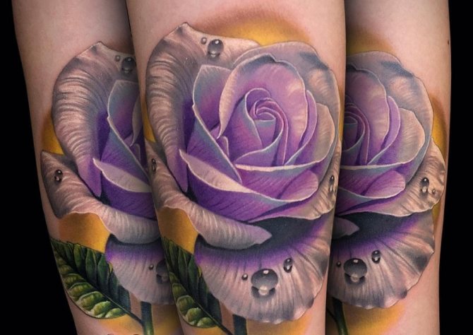 Lilac tattoo of a rose on a girl's arm