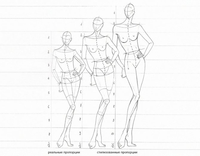 Stylization of body proportions for fashion sketch