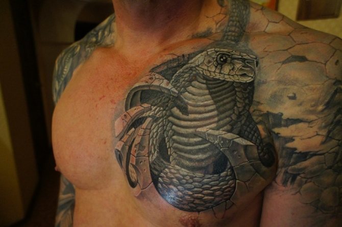 Tattoo an aggressive snake