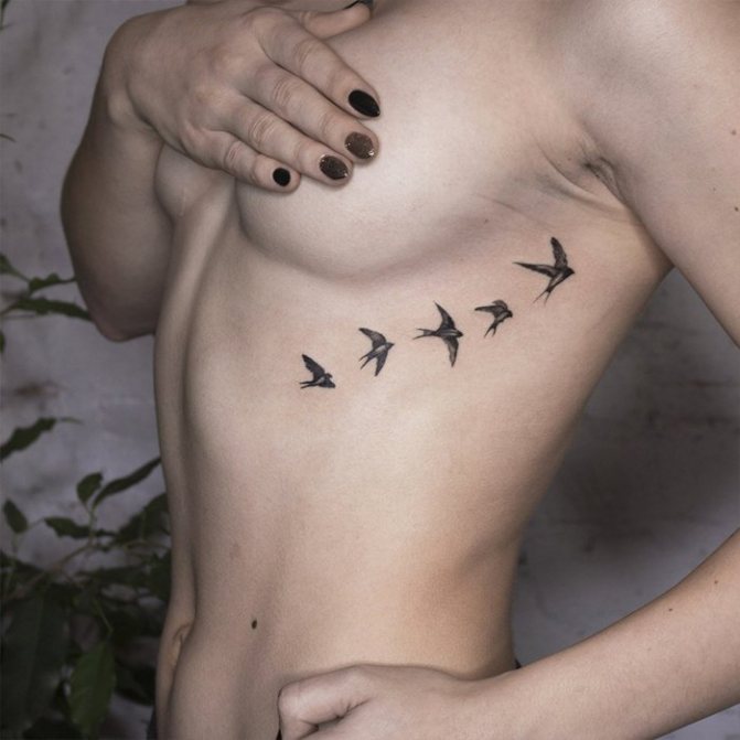 Tattoo swallows on breasts for girls