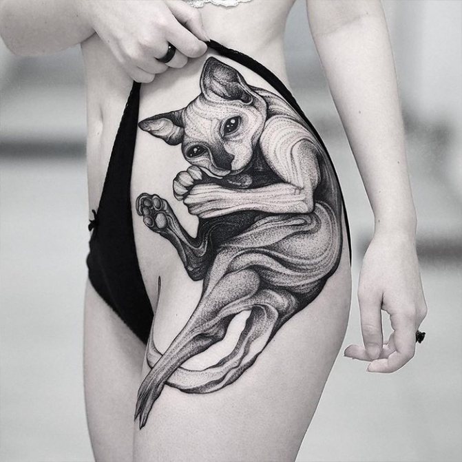 Tattoo for girls sphinxes on the side