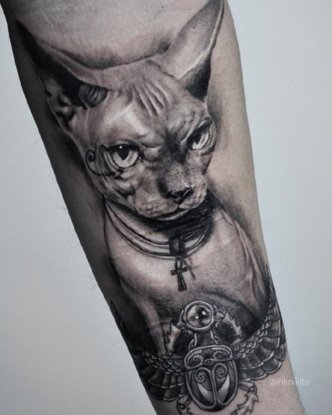Tattoo of an Egyptian cat