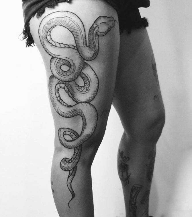 tattoo cobra sketches