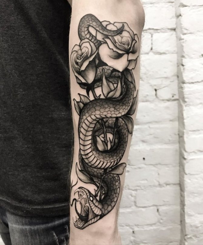 tattoo of a cobra on his shoulder