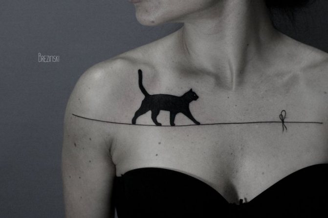 Tattoo cat sketch