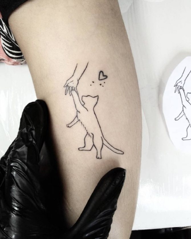 Cat tattoo meaning for girls