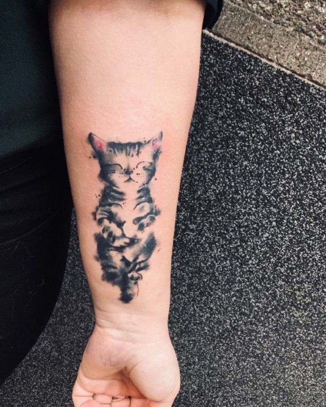 tattoo of a cat