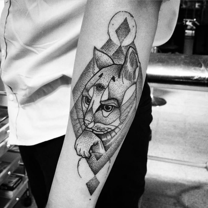 Tattoo cat - Tattoo cat abstraction - Tattoo abstract cat